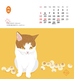 �J�����_�[�u����˂���v