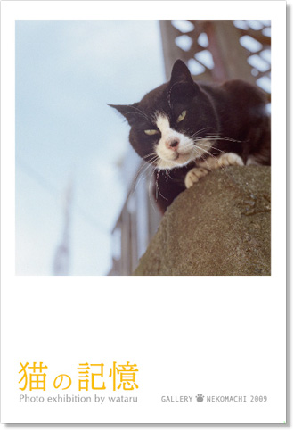 ワタルの写真展